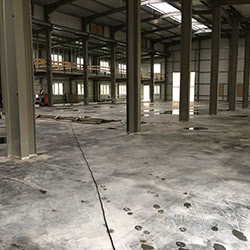 Zur Alten Börse (2018-2019)