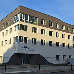 Am Studio (2012-2013)